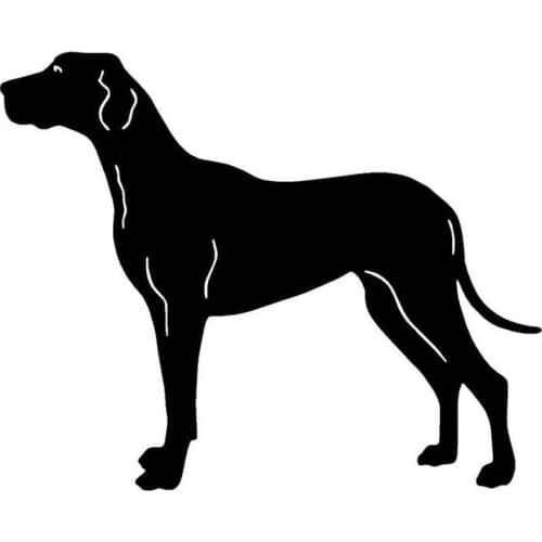 15.7*12.7CM Great Dane Dog Vinyl Decal Personality Car Stickers Car Styling Bumper Accessories Black/Silver S1-1175