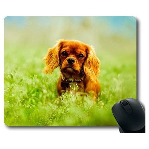 Custom Mouse Pad Funny Dog,Puppy Dog Animal Domestic Adorable Cute Landscape,dogs mouse mat