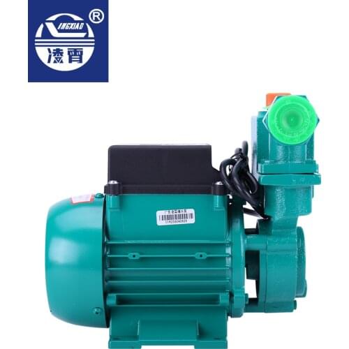 Domestic self-priming pump domestic pumping agricultural irrigation 220 V high lift Guangdong Lingxiao pump industry