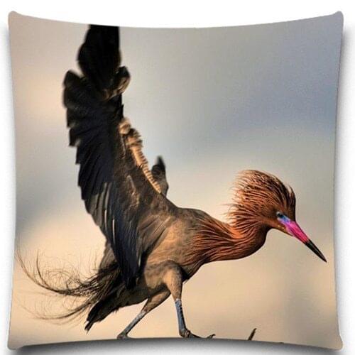 Spread its wings Walking bird 2D print creative Pillow case Square cotton polyester cushion cover 5 size 9 style