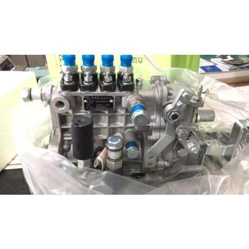 Fast shipping BH4Q65R8 4QF218B1 4QF93B7-1 4QF93B7 injection Pump diesel engine Quanchai 485 WATER cooled engine