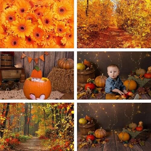 Mehofond Autumn Pumpkin Backdrop Halloween Fallen Leaves Newborn Photography Background Studio Baby Shower Decor Props Photocall