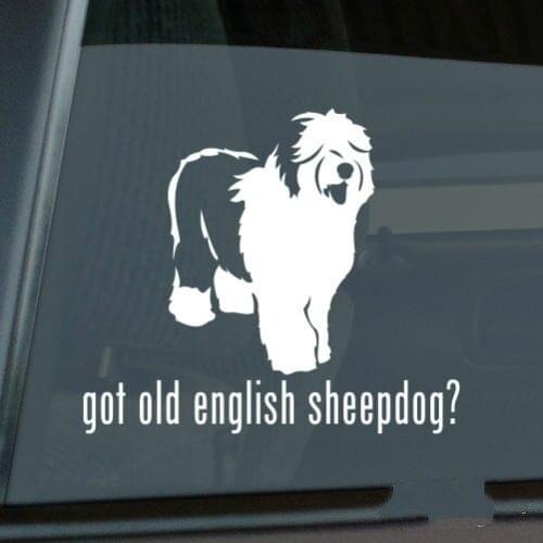 Got Old English Sheepdog Sticker Die Cut Vinyl - oes window decal Size(inch): 6.00 x 5.19