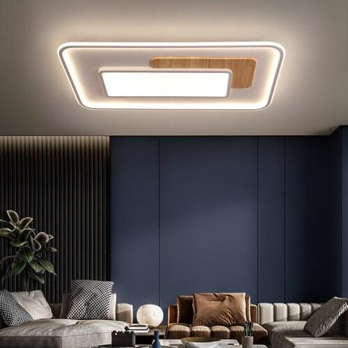 Indoor LED Chandelier Light Furniture Decoration Lamps For Bedroom Living Room Corridor Luminaire Different Shape Modern Style