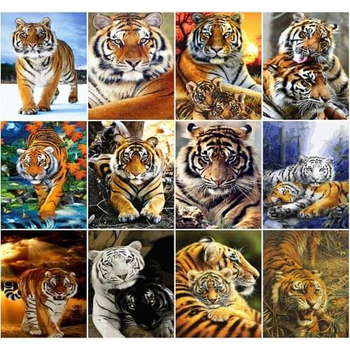 AZQSD 40x50cm DIY Painting By Numbers Tiger Home Decoration Coloring By Numbers Drawing On Canvas Animal Handpainted Gift
