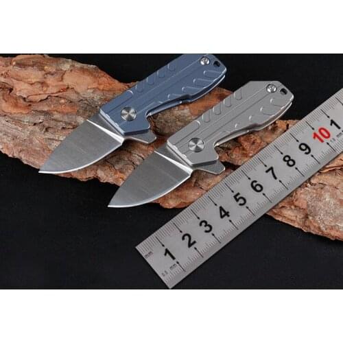 Freewolf Mini Small Frlipper Folding Knife D2 Drop Point Blade TC4 Titanium Alloy Handle Ball Bearing EDC Pocket Knives H0107