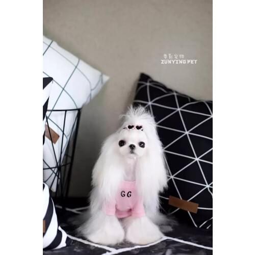 Pet dog beauty hair clips Teddy Yorkshire sparkling pet comb needle clip BB 20pcs