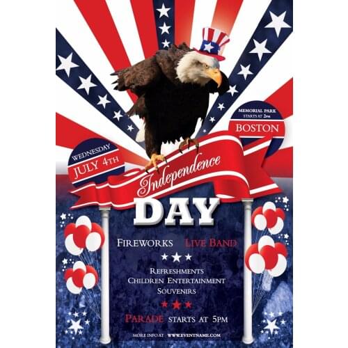 VinylBDS Photographic Background Thick Cloth American Flag Independence Day Retro Pattern Background Dlr-1