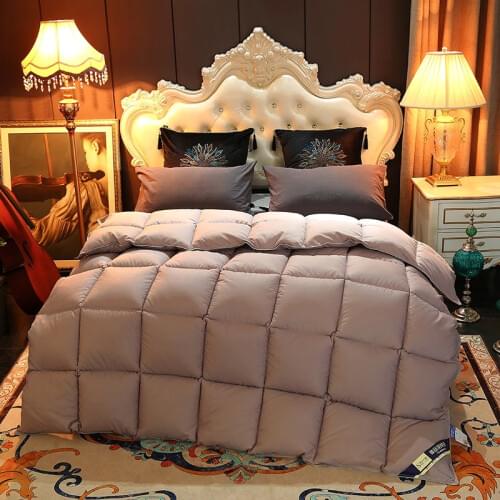 Winter Thicken Warm Goose Down Comforter Quilt Blanket Twin/full/queen/king Full Size Duck Down Filling Duvet for Home Hotel