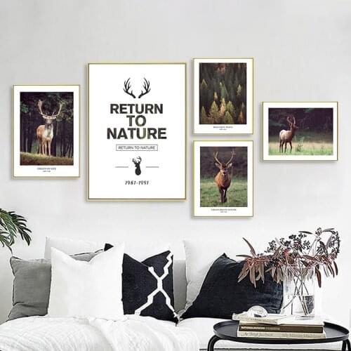 The Real Animal Deer of Nature Wall Art Canvas Painting Nordic Posters and Prints Wall Pictures for Living Bedroom Decoration