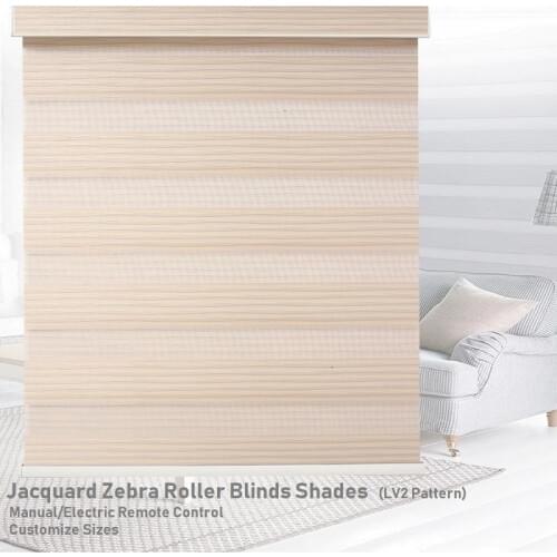 Free Shipping Zebra Blinds Roller Shades Window Curtain With Dual Layers Pleated Dust Proof Cover Model LV2 Customize Size In Ma