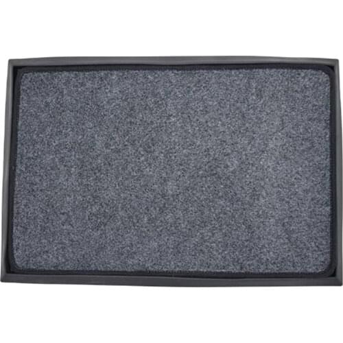 Shoe Mat Sanitizing Business Mat Carpet Disinfecting Sanitizer