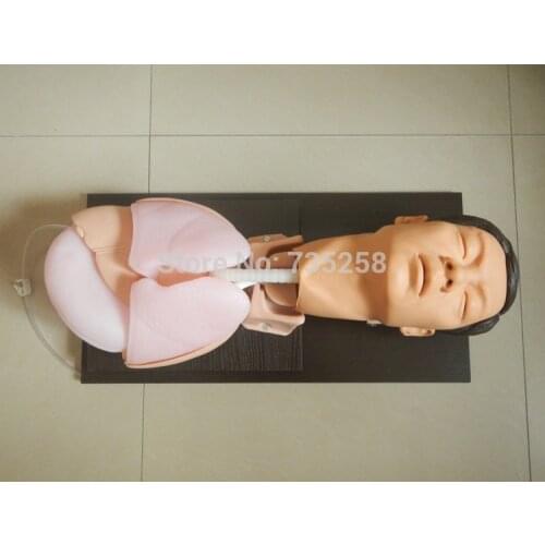 Senior Endotracheal Intubation Skills Training Model ,Trachea Intubation Training Model