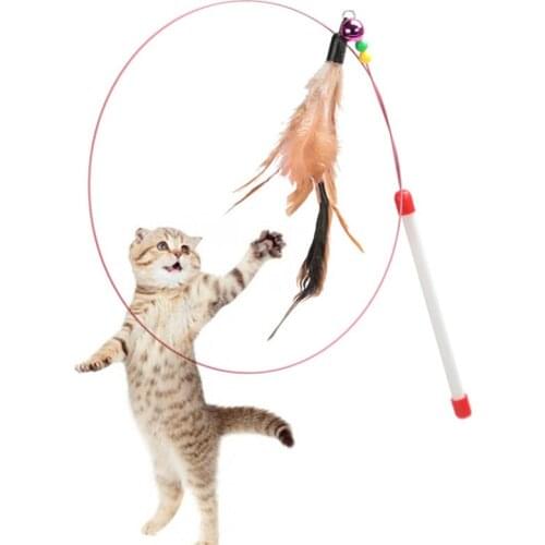 Pet Supplies Wholesale Wire Funny Cat Sticks Funny Cat Sticks Cat Toys Feather Funny Cats Sticks Funny Cat Supplies Cat Toys