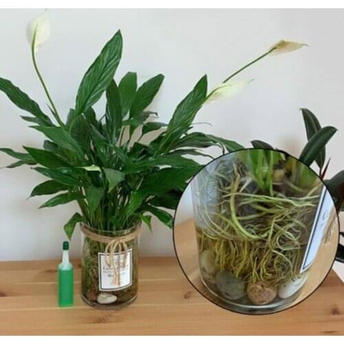 1/2pcs Hydroponic Liquid Plant Fertilizer Nutrient Solutions Seedling Recovery Root pjop