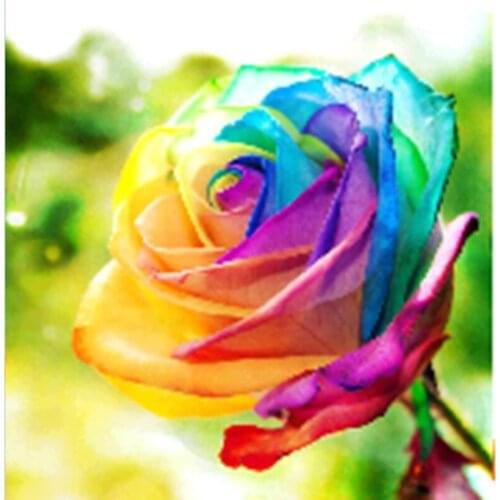 DiamoDIY 5D Full Diamonds Embroidery Peony flowers Round Diamond Painting Cross Stitch Kits Diamond Mosaic Home Decoration