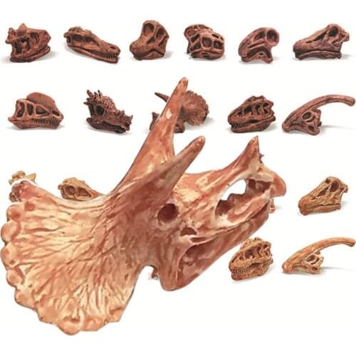 Simulation Dinosaur Bones Girls Boys Figures Doll Toys Tyrannosaurus Rex Triceratops Pterosaurus Head Kids Learning Education