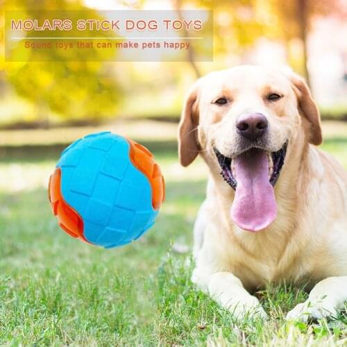 Nontoxic Pet Dog Toy Chew Bite Ball Tire Squeaky Squeeze Sea Bite Abrasion Resistant Floating Training Stick Dog Supplies