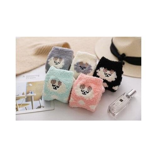 Coral velvet socks women winter thickening warm floor socks cartoon cute embroidery ankle socks hosiery