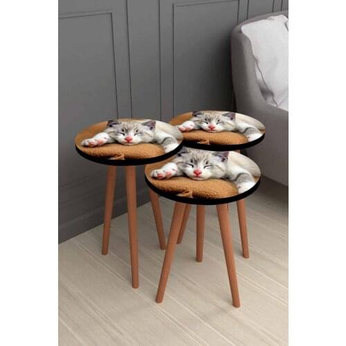 Cute Sleeping Cat 3d Pattern pcs set Wooden Zigon Coffee Table Set