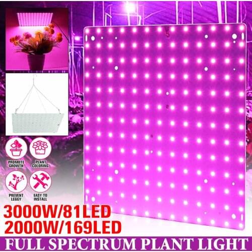 Ecoo Grower Lighting