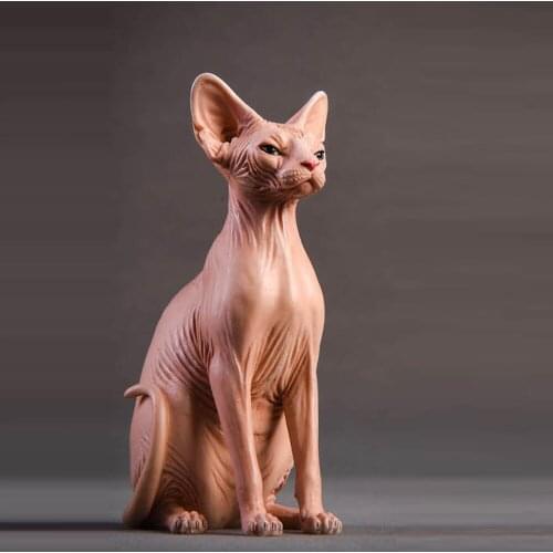 Soldier Element 1/6 Soldier Scene Accessories Canadian Hairless Cat Model Suite