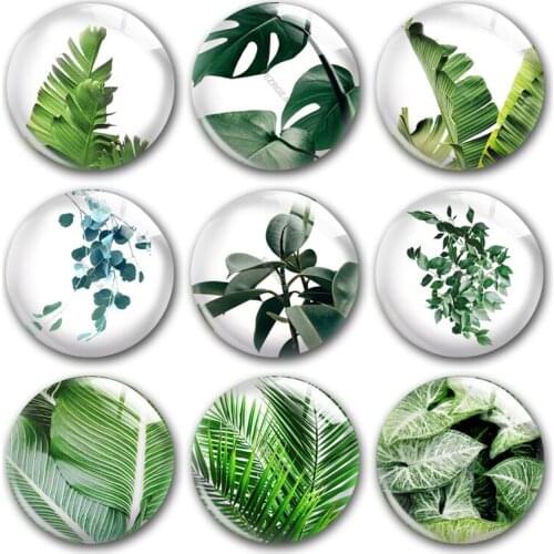 Handmade Jungle Forest Leaf Plants Flower Round Photo Glass Cabochons Demo Flat Back DIY Jewelry Making Findings Accessory