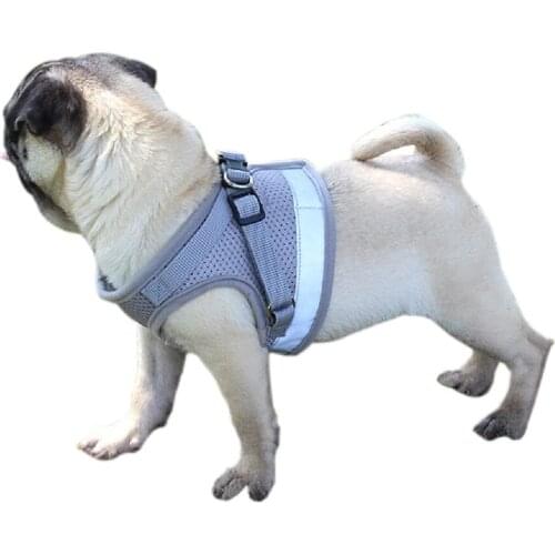 Pet chest harness plus traction rope breathable puppy chest harness reflective dog rope pet supplies wholesale