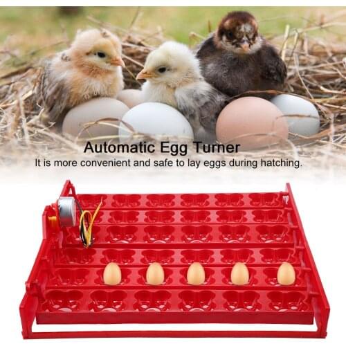 36 Eggs/144 Bird Eggs Incubator Hatcher Automatic Egg Turning Tray Tool (220V motor)