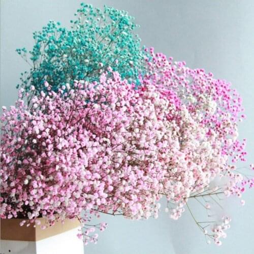 80g Babies Breath Real Natural Plant Dried Preserved Gypsophile Artificial Flowers Bouquets Arrangement for Wedding Home Decor