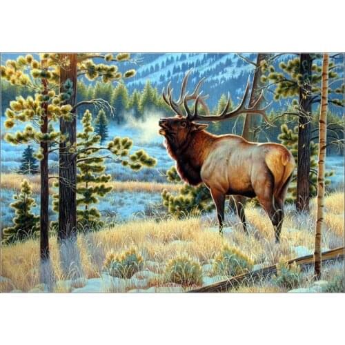 Embroidery Counted Cross Stitch Kits Needlework - Crafts 14 ct DMC Color DIY Arts Handmade Decor - Late to the Dance