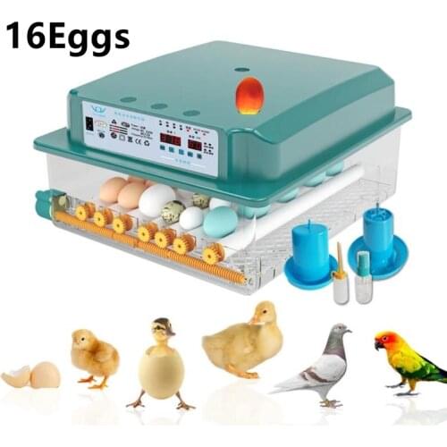 110V/220V Household 16 Eggs Incubator Intelligent Automatic Egg Hatchers for Chicken Duck Goose Pigeon Bird CE Certification