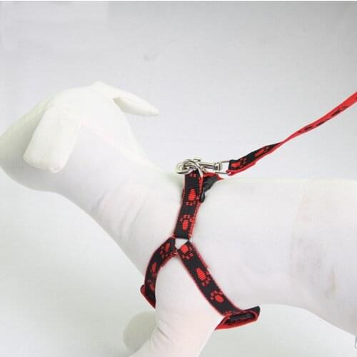 1Pc Adjustable Metal lock Foot Print Anti lost Pet Cat Dog Puppy Dog Leash Leads Harness Belt Traction Rope Random Color
