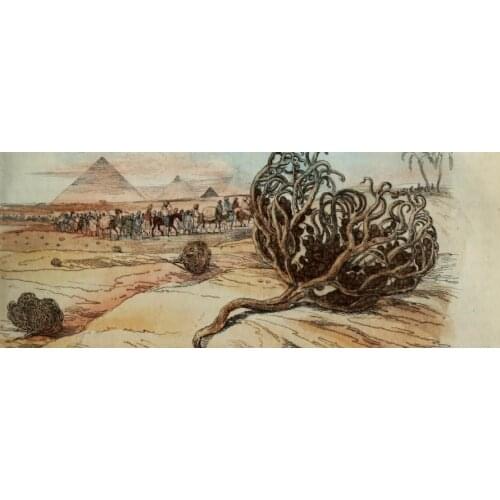 BIO AQUATIC Accessories For Pregnant Women