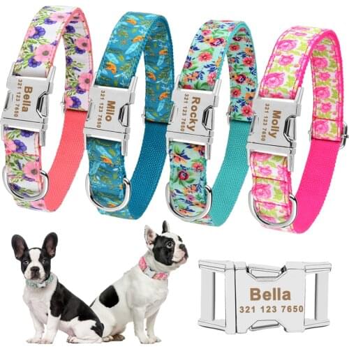 Adjustable Nylon Cool Dog Collar Custom Carved Name Phone Blue Pitbull Personalized Dog Collar