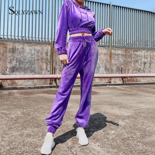 Velvet 2 Piece Hoodies Cropped Sweatshirt + Pants Set Womens Fall Winter Pink Purple Casual Fleece Tracksuit Velour Sport Outfit