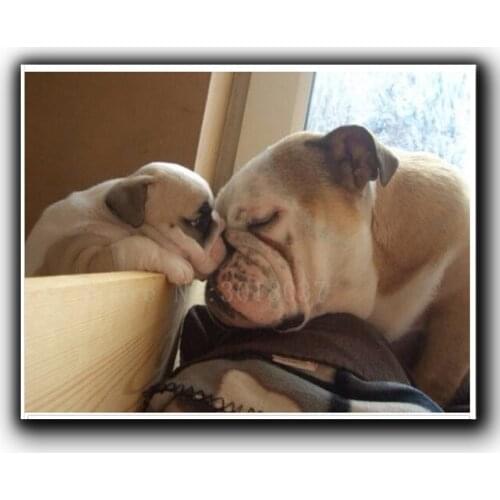 Diamond Mosaic Diy Diamond Embroidery Dog Mother Kisses The Child Full Diamond Painting Cross Stitch Rhinestone Home Decorations