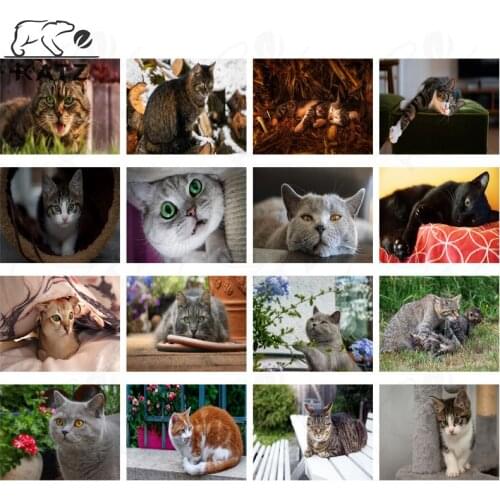 Cat Picture In The Duvet Diamond Painting Cross Stitch Modern Cute Animal Handmade Diy Diamond Embroidery Decoration Gift