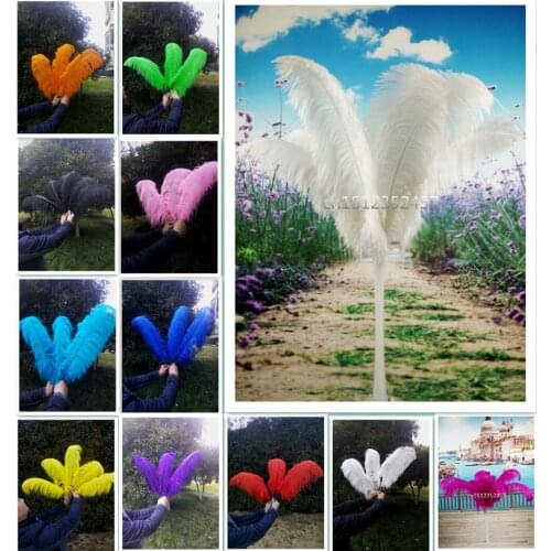 Sale 10 pc quality ostrich feathers,24-26" /60-65cm, DIY wedding decorations Wedding, stage performances, decoration, festive