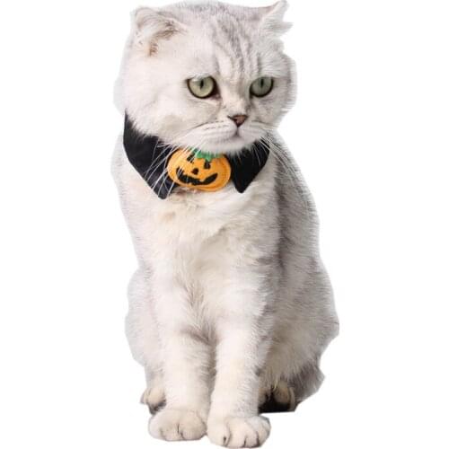 Christmas Eve pet supplies troublemaker holiday collar cat jewelry black pumpkin bow tie