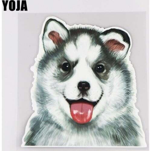 YOJA 15.5×16.6CM Hand Drawn Sled Dogs Rear Windshield Stickers Funny Cartoon Car Decor Accessories 19B-0087