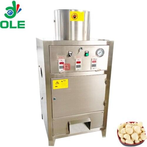 Fancy Home Use Garlic Peeler Machine Hot Sale Garlic Peeling Machine