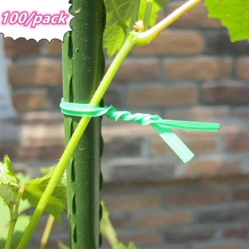100Pcs Green Plant Vine Climbing Cable Ties Plant Brackets Parts Bonsai Flower Cucumber Grape Rattan Supports Reusable Holders