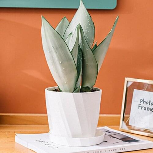 Plant Pot Reusable Plastic Planters Indoor Flower Plant Pots Modern Round Flower Pot With Tray Decorative Gardening Pot Macetas
