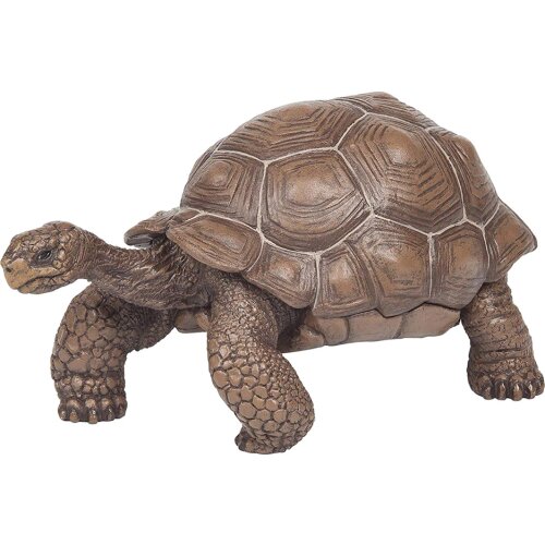 3inch Galapagos Tortoise Turtle Model Figure Animal Toy - Collectable Gift