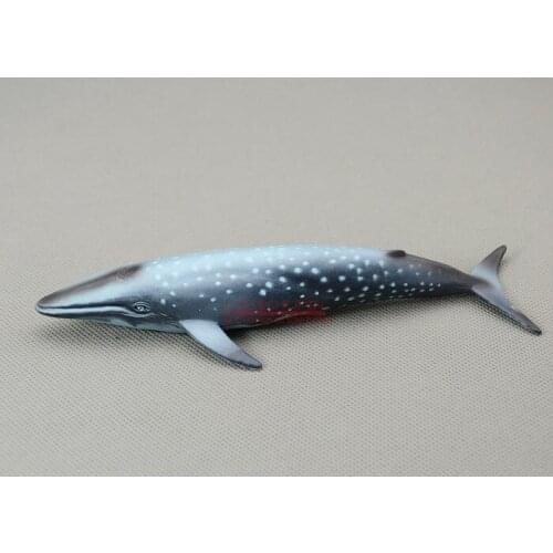 18cm Animas! Solid animal model toy whale shark work fine cognitive collection Decoration