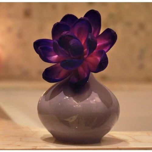 120ml Fragrance Diffuser Rattan Sticks Set Refill Bedroom Scent Essential Oil Home Decor Stone Flower Aroma Diffuser a Gifts