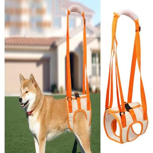 Pet Dog Hind Leg Mesh Belts Walking Bracket Support Harness Safety Care Rehabilitation Exercise Supplies Old Injured DisabledDog