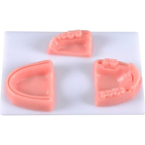 Stomatologist qualification examination suture training module + gingival suture + periodontal suture exercise