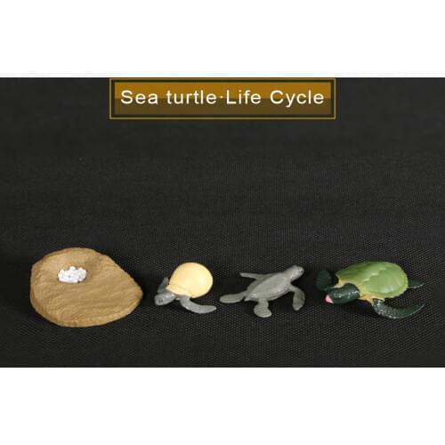 Simulation Action Figures Animal Evolution Models Sea turtle Tortoise Life Cycle plastic Model Animal Growth Cycle For Kids Toys